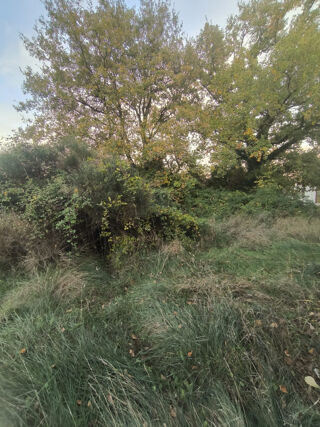  Terrain � vendre 385 m�