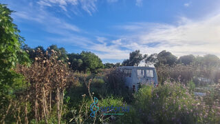  Terrain � vendre 6000 m�