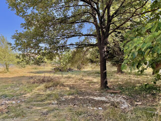  Terrain à vendre 991 m²