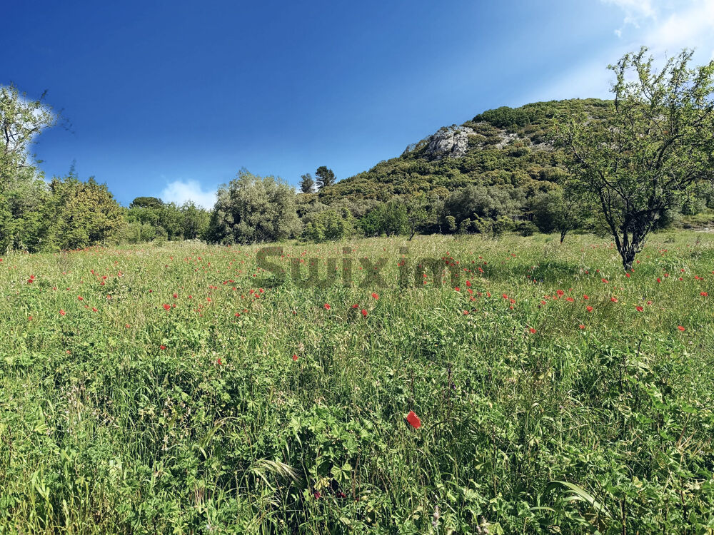 Vente Terrain Terrain 4000 m2 St bonnet du gard