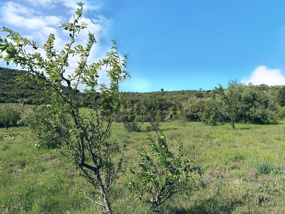 Vente Terrain Terrain 4000 m2 St bonnet du gard