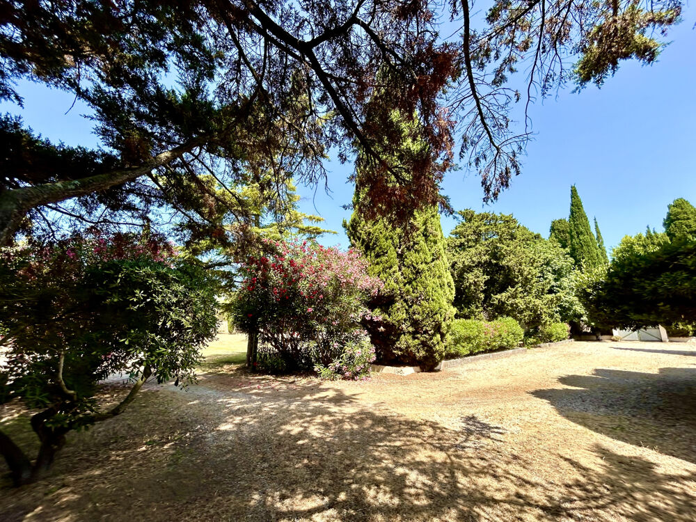 à vendre  Propriété/château Uzès (30700)