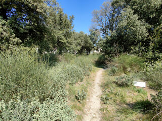  Terrain � vendre 494 m�