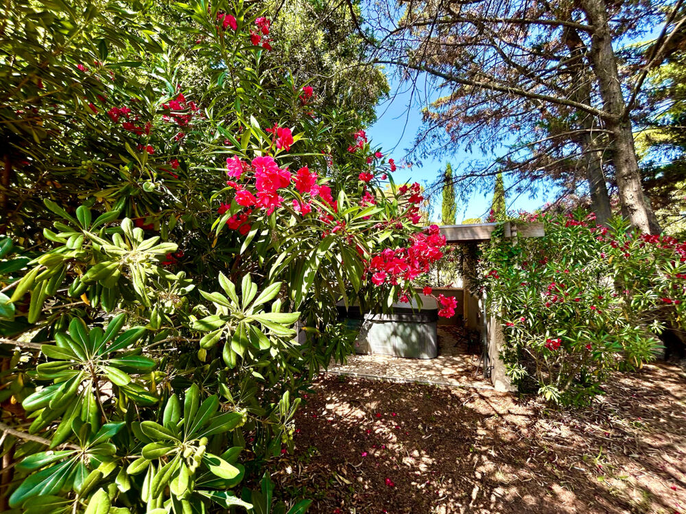 à vendre  Propriété/château Uzès (30700)
