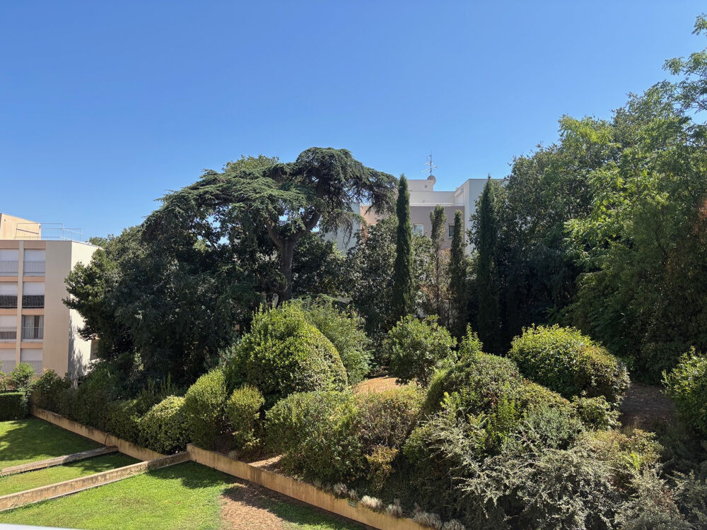 Vente Appartement Superbe appartement T4, route de Sauve, quartier Montaury Nimes