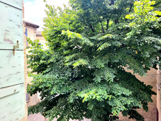  Appartement à vendre 1 pièce 27 m²