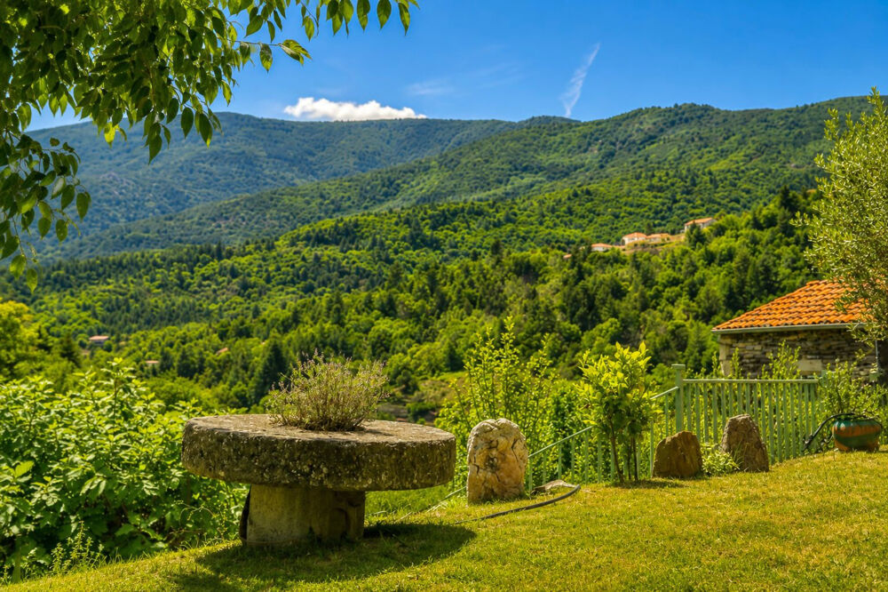Vente Maison Mas en pierre entièrement rénové avec vue panoramique et accès rivière - Proche Villefort Villefort