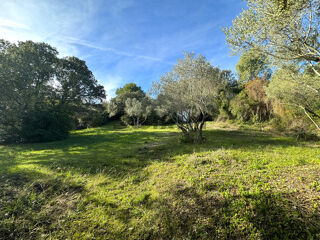  Terrain  vendre 1 pice 1735 m