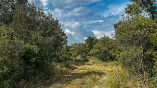  Terrain à vendre 2930 m²