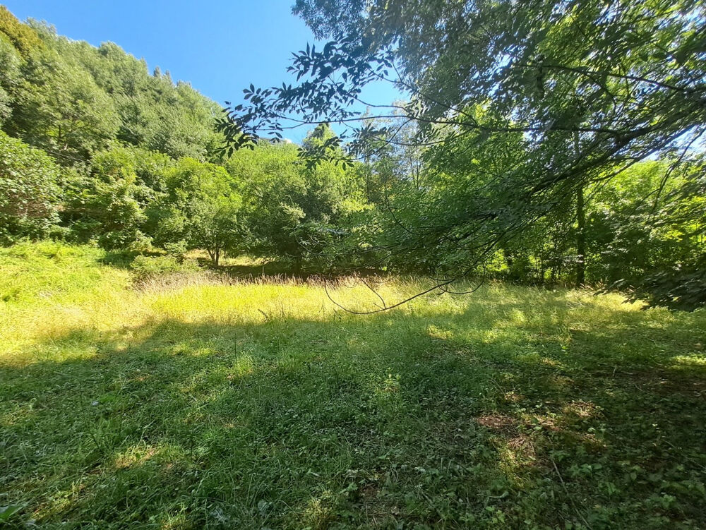 Vente Maison Vialas : Authentique maison de village avec clède et vaste terrain Vialas
