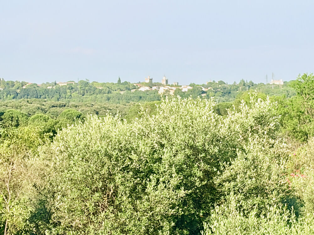 Vente Maison Villa avec piscine et jardin paysager à seulement 4 km d'Uzès Uzes