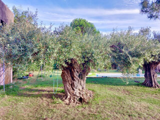  Maison � vendre 1 pi�ce 70 m�