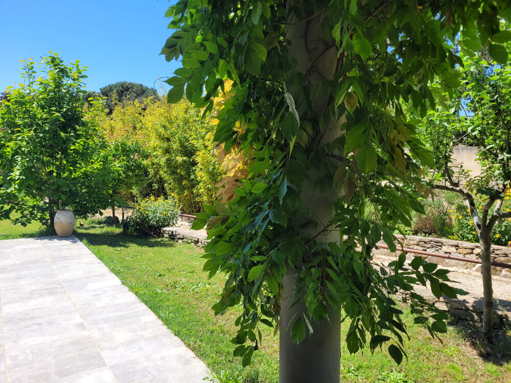 Villa récente en peine nature