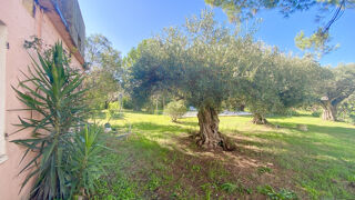  Maison � vendre 1 pi�ce 70 m�