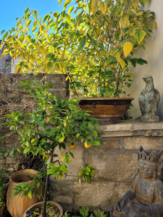  Maison � vendre 8 pi�ces 165 m�