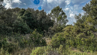  Terrain à vendre 2930 m²