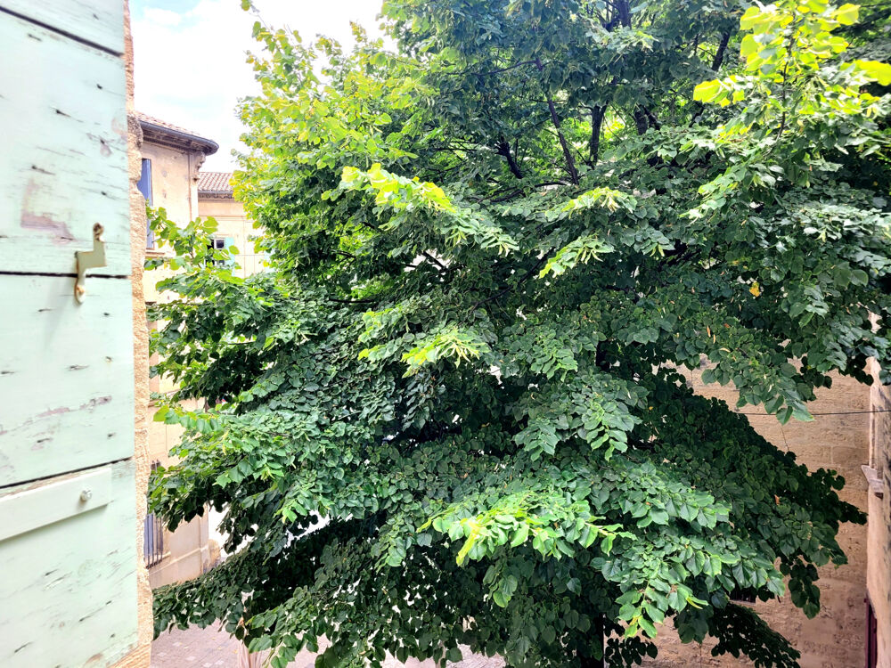 Vente Appartement AU PIED DE LA PLACE AUX HERBES ! Uzes