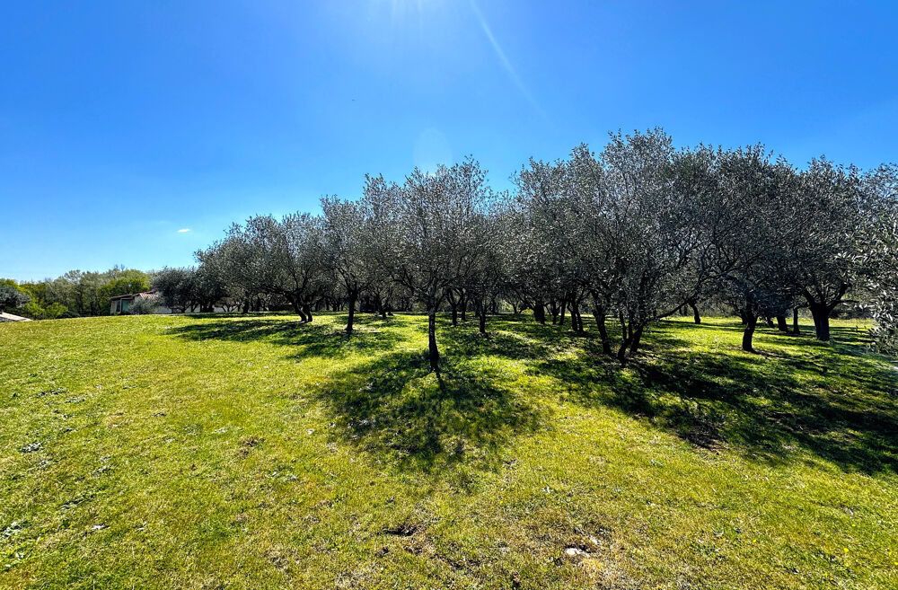 Vente Maison Vézénobres - Charmante maison de plain-pied avec grand terrain arboré Vezenobres