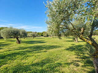  Terrain à vendre 4650 m²