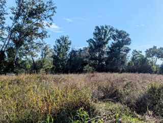  Terrain � vendre 4220 m�