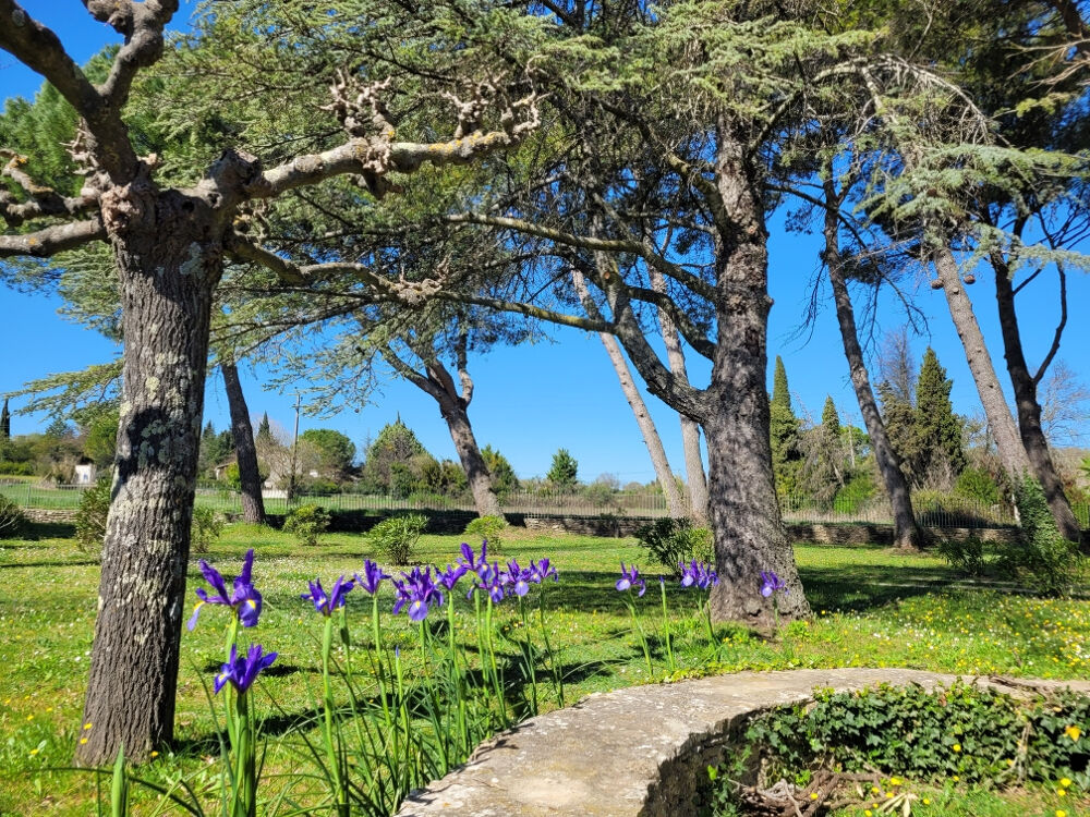  vendre  Maison Uzs (30700)