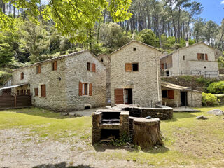  Propriété/château à vendre 11 pièces 208 m²