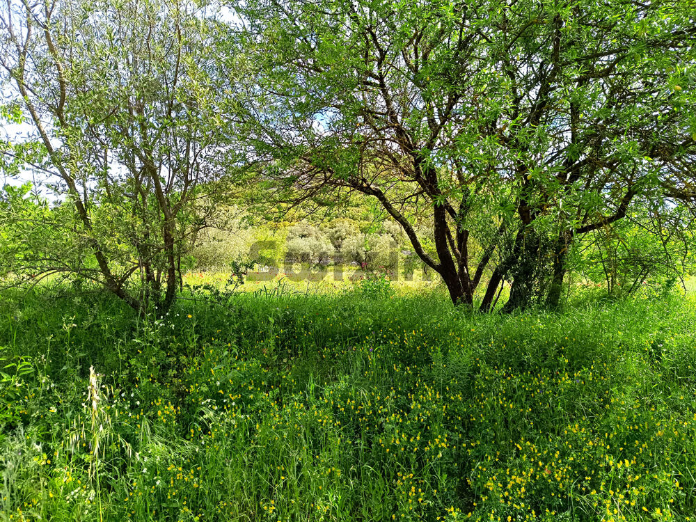 Vente Terrain Terrain 4000 m2 St bonnet du gard