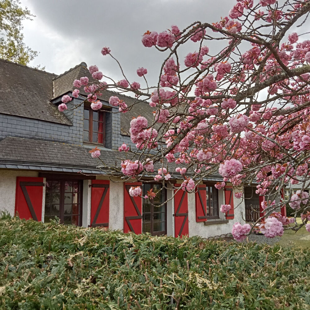 MAISON A VENDRE SOQUET IMMOBILIER - ÉRÉAC