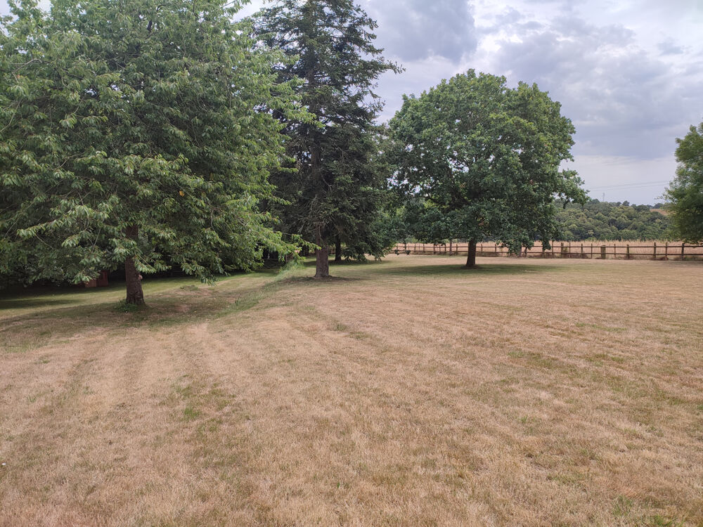  vendre  Proprit/chteau Brusvily (22100)