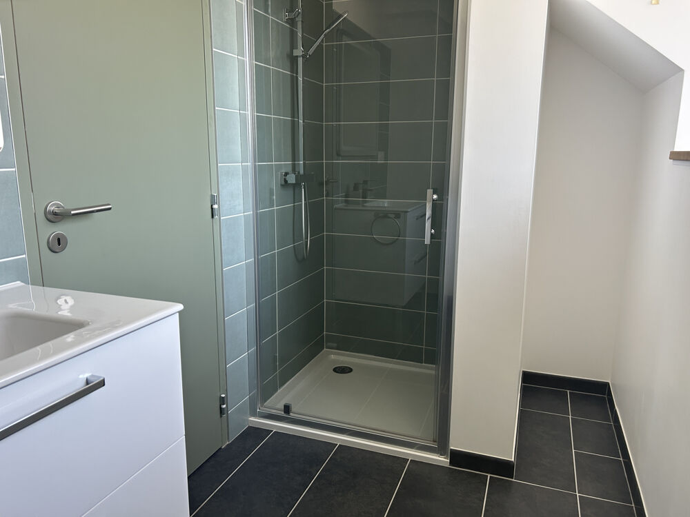  vendre  Proprit/chteau Brusvily (22100)