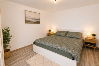  Appartement à louer 3 pièces 70 m²