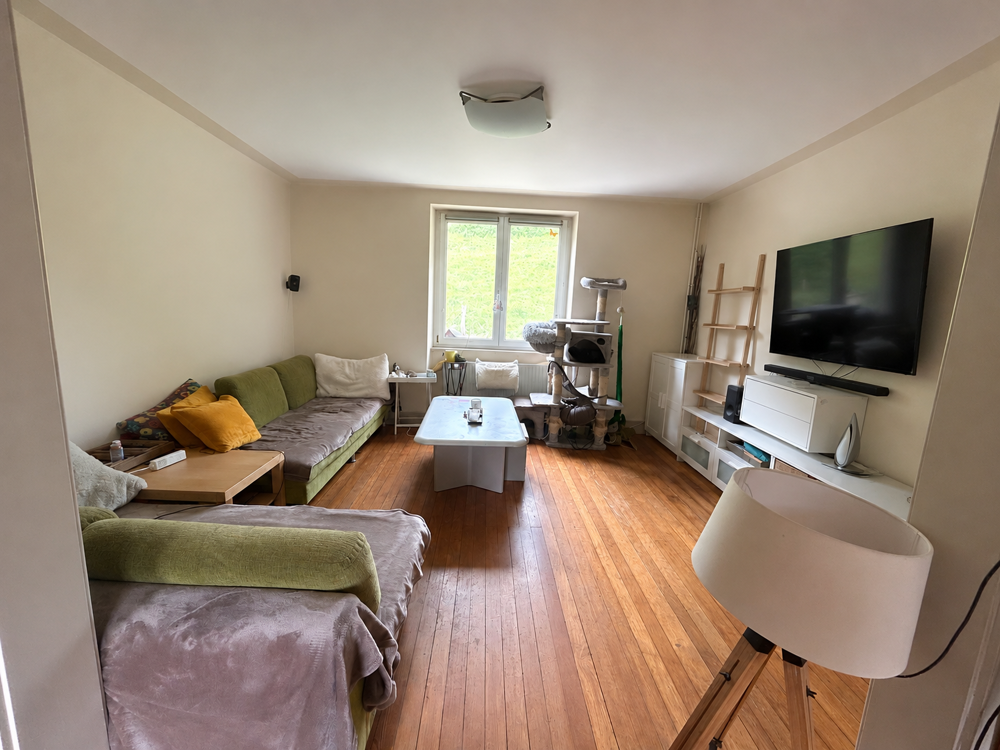 Maison familiale 7 pièces BAREMBACH