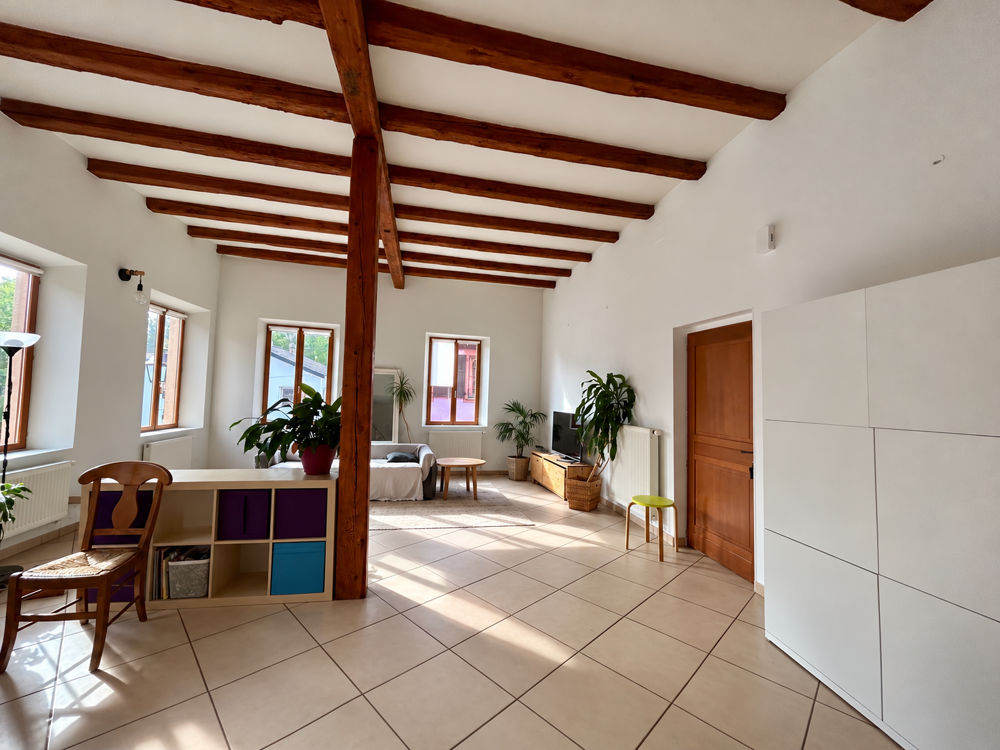 Vente Duplex/Triplex Beau duplex 5 pièces avec garage - WOLXHEIM Wolxheim