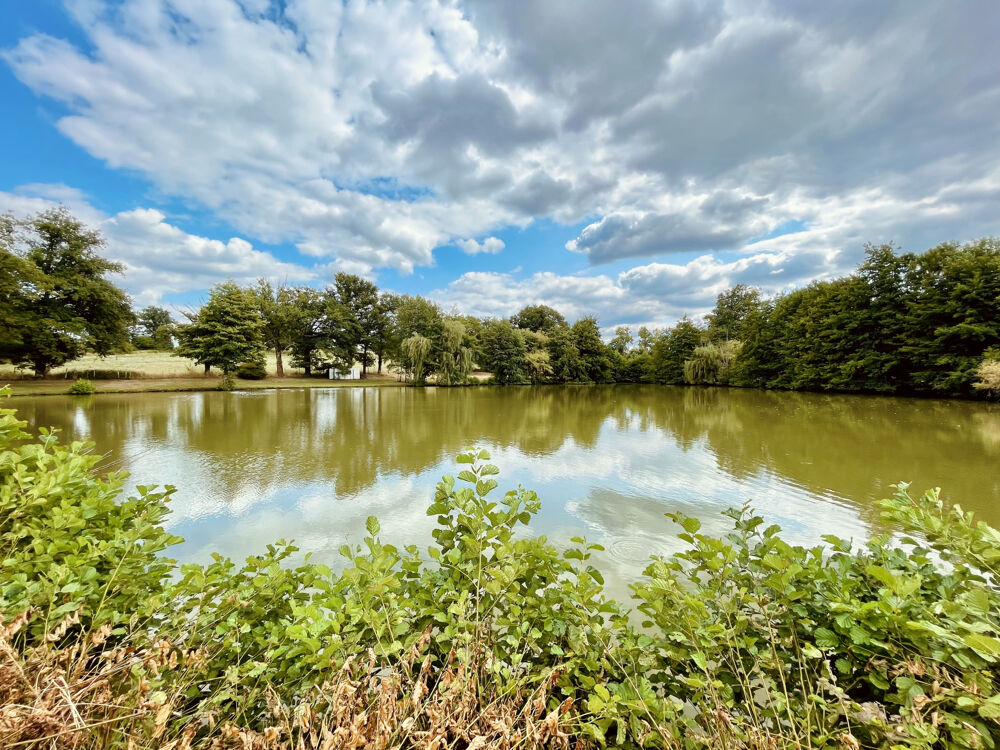 Vente Terrain A L'ABRI DES REGARDS, BEL ÉTANG DE LOISIRS, TERRAIN DE 2,7 HA ENV. St junien