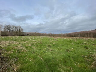  Terrain � vendre 9009 m�