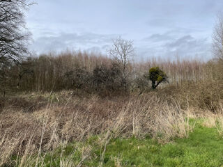  Terrain  vendre 9009 m