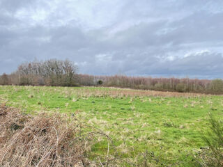  Terrain  vendre 9009 m