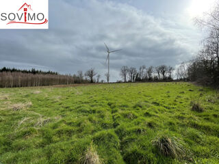  Terrain  vendre 9009 m