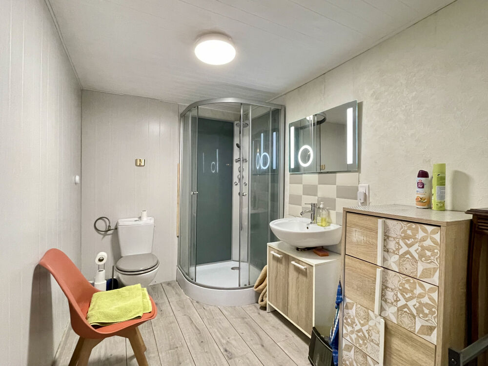 Vente Maison BEAU POTENTIEL A EXPLOITER : MAISON AVEC GRANGE ET JARDIN, TOITURE NEUVE. Pressac