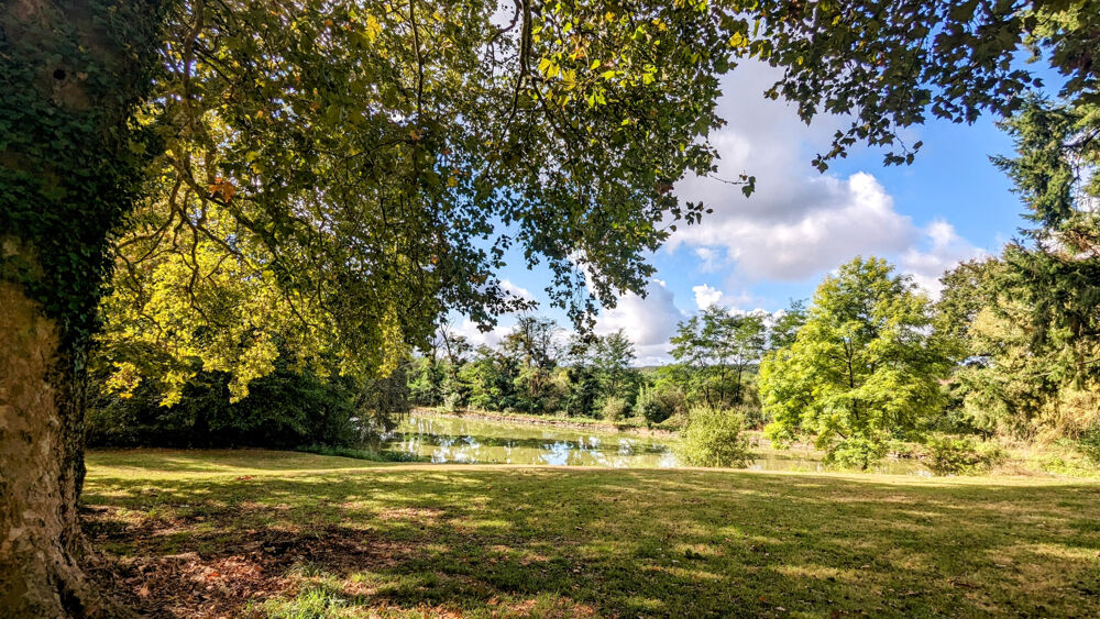  vendre  Proprit/chteau Lesterps (16420)