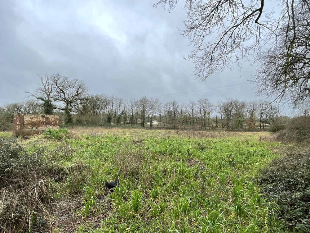 Vente Maison CHARME E TPOTENTIEL À LA CAMPAGNE, ANCIENNE FERMETTE INDÉPENDANTE SUR 8516 M2 Availles limouzine