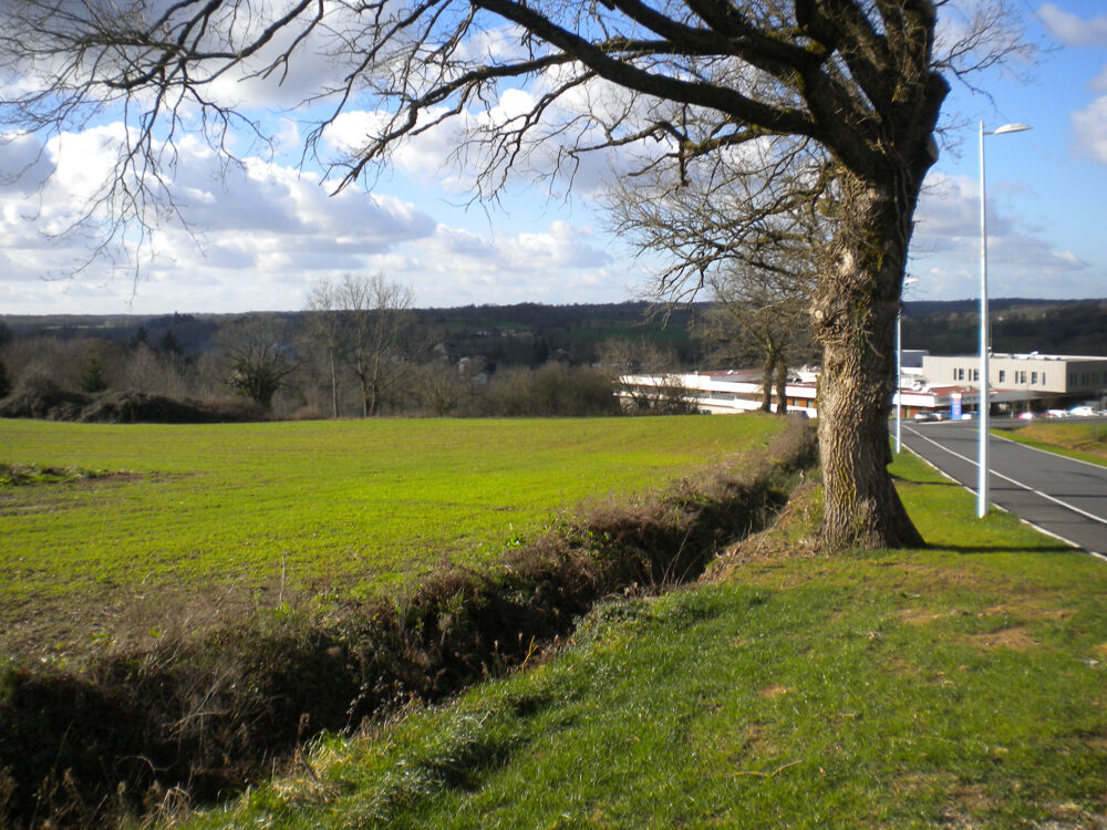 Vente Terrain TRES BIEN SITUÉE, PARCELLE DE TERRAIN EN ZONE CONSTRUCTIBLE SUR 1HA 18 ENV Confolens