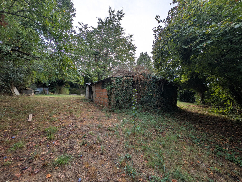 Vente Maison CHARME & CONFORT : MAISON AVEC JARDIN SÉPARÉ ET AUTHENTIQUE FOUR À PAIN Pressac
