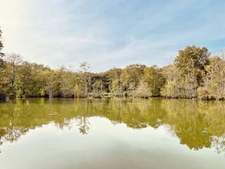  Maison � vendre 8 pi�ces 278 m�