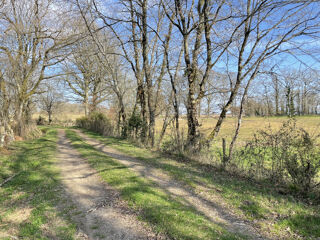  Terrain à vendre 29690 m²
