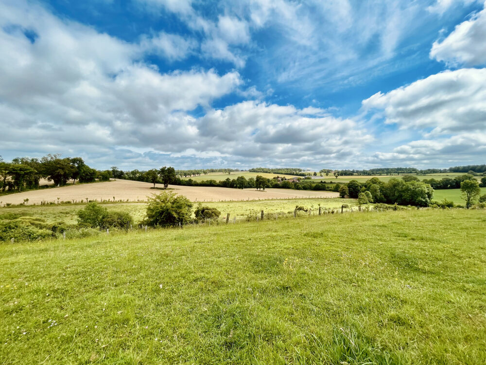Vente Maison BELLE VUE SUR LA VALLEE, FERMETTE AVEC D�PENDANCES SUR 6,6 HA ENV. ATTENANTS BORD RIVI�RE. Suris