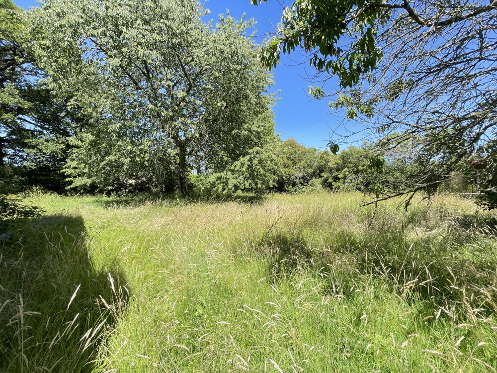 Vente Maison DANS UN ENDROIT VERDOYANT, ANCIENNE GRANGE EN PIERRE CONVERTIE EN HABITATION AVEC TERRAIN Manot