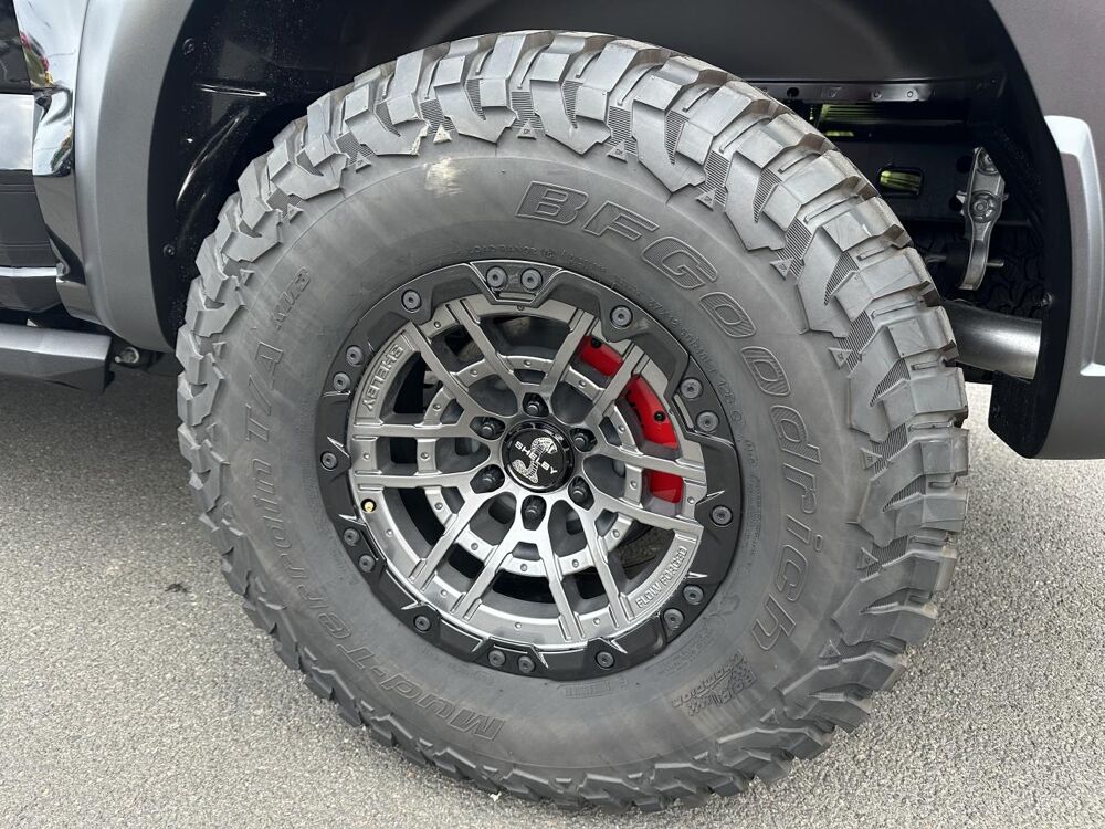 Divers Raptor Shelby Baja 2024 occasion 91830 Le Coudray-Montceaux