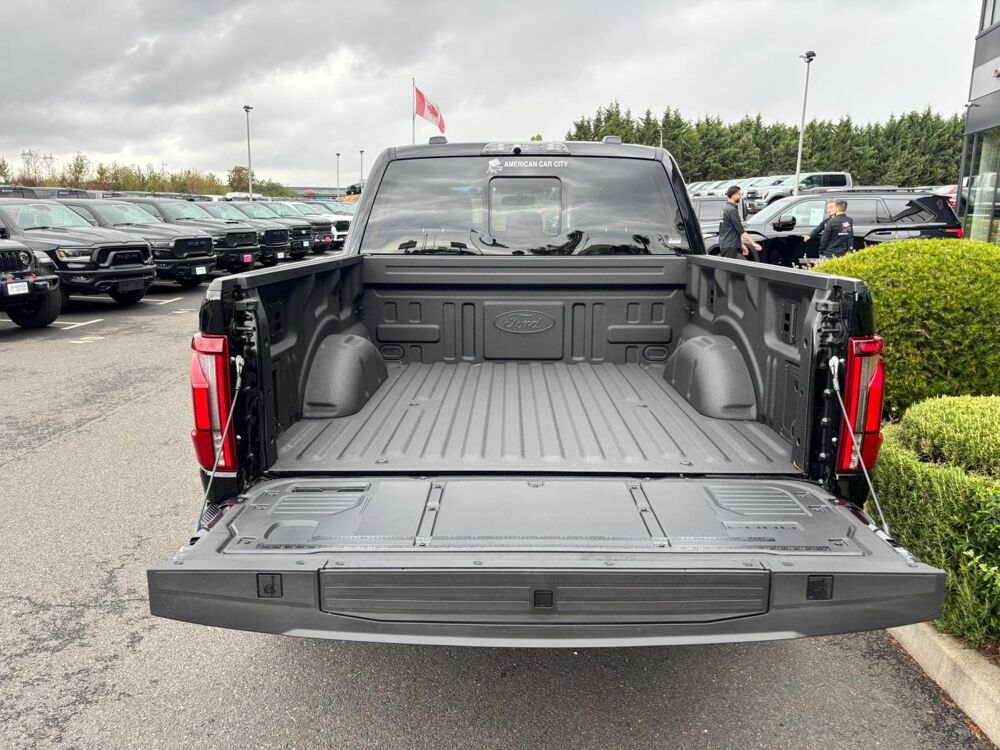 Divers RAPTOR R V8 5.2L supercharged 2026 occasion 91830 Le Coudray-Montceaux