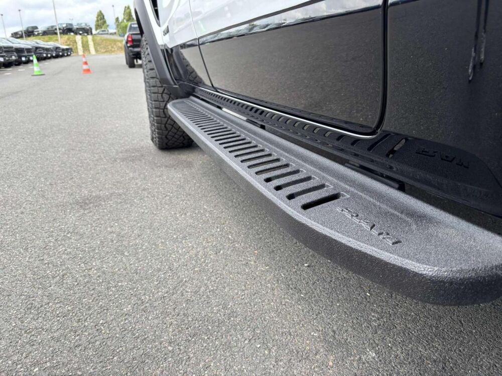 RAM RHO 2025 occasion 91830 Le Coudray-Montceaux